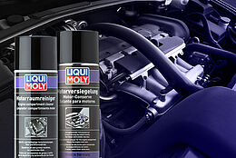 A clean engine compartment in just a few steps