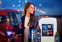 Functional reliability of your electric vehicle